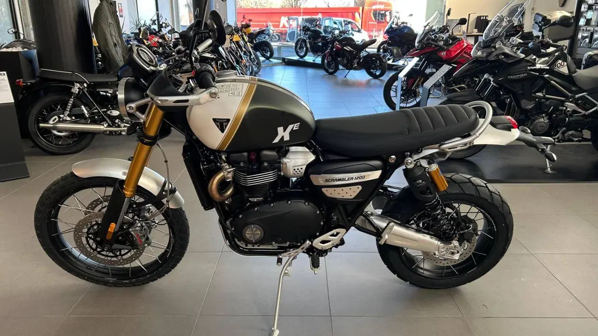 Triumph Scrambler 1200 XE (2026)  (3)