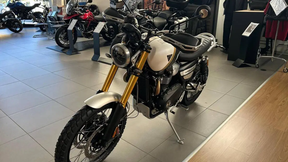 Triumph Scrambler 1200 XE (2026)  (4)