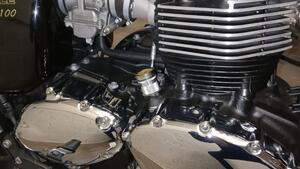 Triumph Bonneville T100 (2008 - 16) 