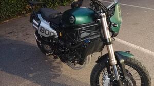 Benelli Leoncino 800 Trail (2022 - 25) 