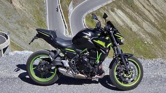 Kawasaki Z 650 (2021 - 24)