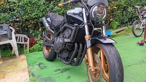 Honda Hornet 600 (2000 - 02) 