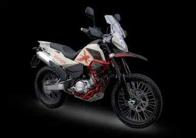 Swm Superdual 600 X (2025 - 26) - Annuncio 9890465