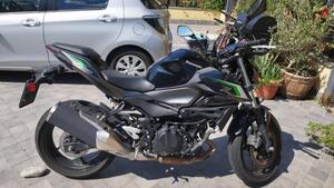 Kawasaki Z 500 (2024 - 26) 