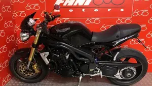 Triumph Speed Triple 1050 (2005 - 11)  (3)