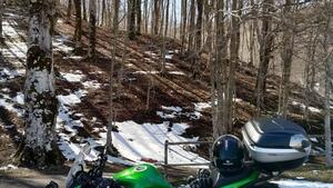 Kawasaki Z 1000 SX (2017 - 20) 