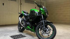 Kawasaki Z 300 ABS (2015 - 16) 