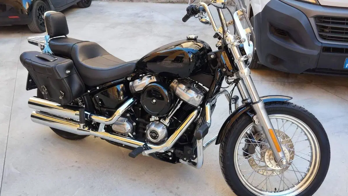 Harley-Davidson Softail Standard (2020) - FXST  (2)