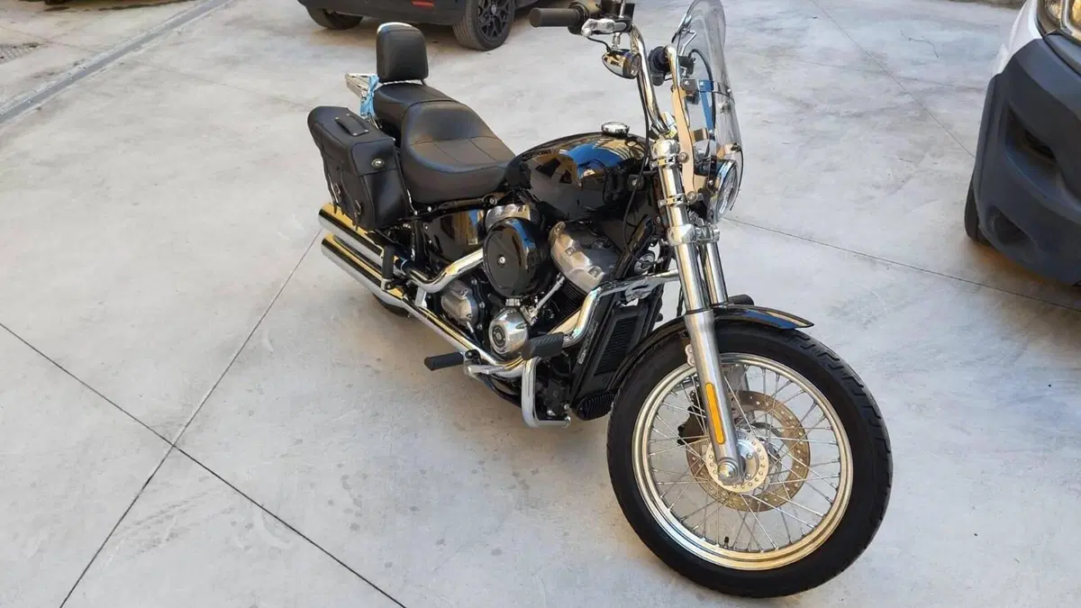 Harley-Davidson Softail Standard (2020) - FXST  (3)