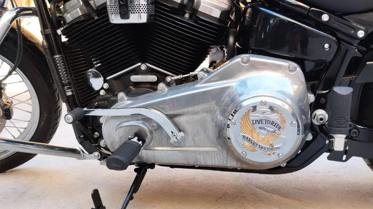 Harley-Davidson Softail Standard (2020) - FXST  (5)