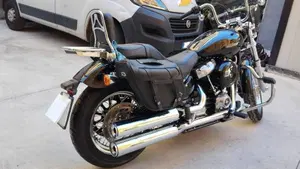 Harley-Davidson Softail Standard (2020) - FXST  (7)