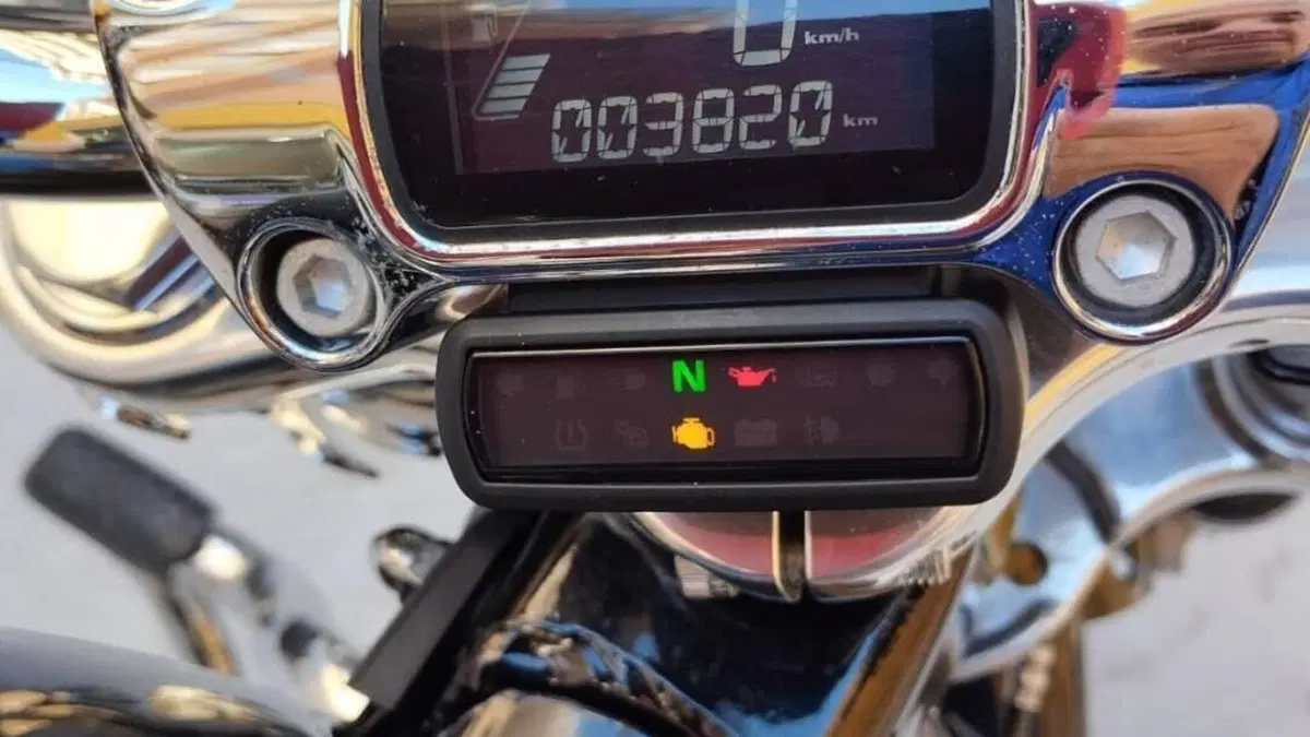 Harley-Davidson Softail Standard (2020) - FXST  (9)
