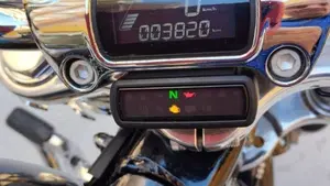 Harley-Davidson Softail Standard (2020) - FXST  (9)