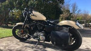 Harley-Davidson 883 Iron (2014 - 16) - XL 883N 