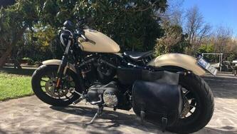 Harley-Davidson 883 Iron (2014 - 16) - XL 883N