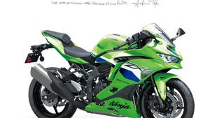 Kawasaki Ninja ZX-4RR (2024 - 26) 
