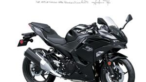 Kawasaki Ninja 500 (2024 - 26) 