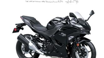 Kawasaki Ninja 500 (2024 - 26) nuova