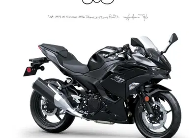 Kawasaki Ninja 500 (2024 - 26) - Annuncio 9891657