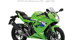 Kawasaki Ninja 125 (2025 - 26) 