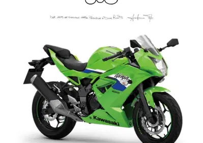 Kawasaki Ninja 125 (2025 - 26) - Annuncio 9891658