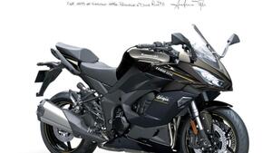 Kawasaki Ninja 1100 SX (2025 - 26) 