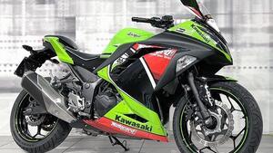Kawasaki Ninja 300 ABS (2012 - 16) 