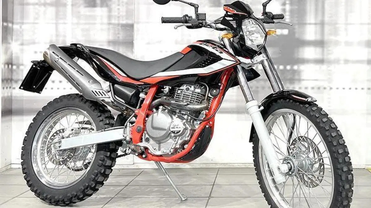 Betamotor Alp 4.0 (2018 - 20) 