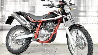 Betamotor Alp 4.0 (2018 - 20) usata