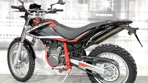 Betamotor Alp 4.0 (2018 - 20)  (2)