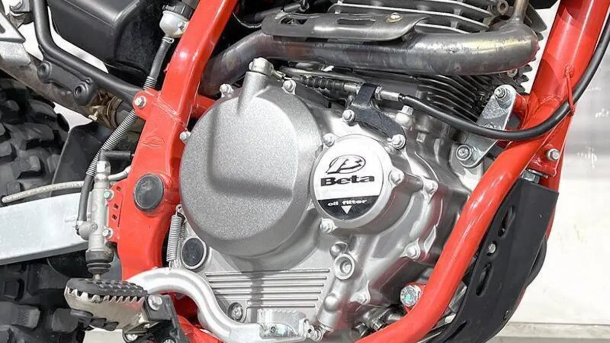 Betamotor Alp 4.0 (2018 - 20)  (3)