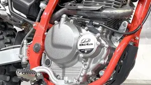 Betamotor Alp 4.0 (2018 - 20)  (3)
