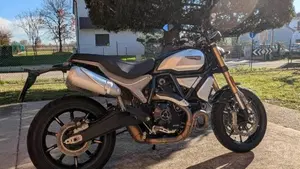 Ducati Scrambler 1100 (2018 - 20)  (4)
