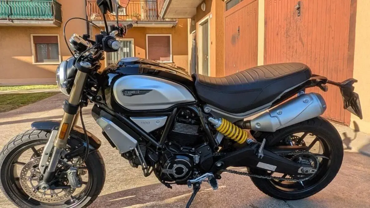 Ducati Scrambler 1100 (2018 - 20)  (5)