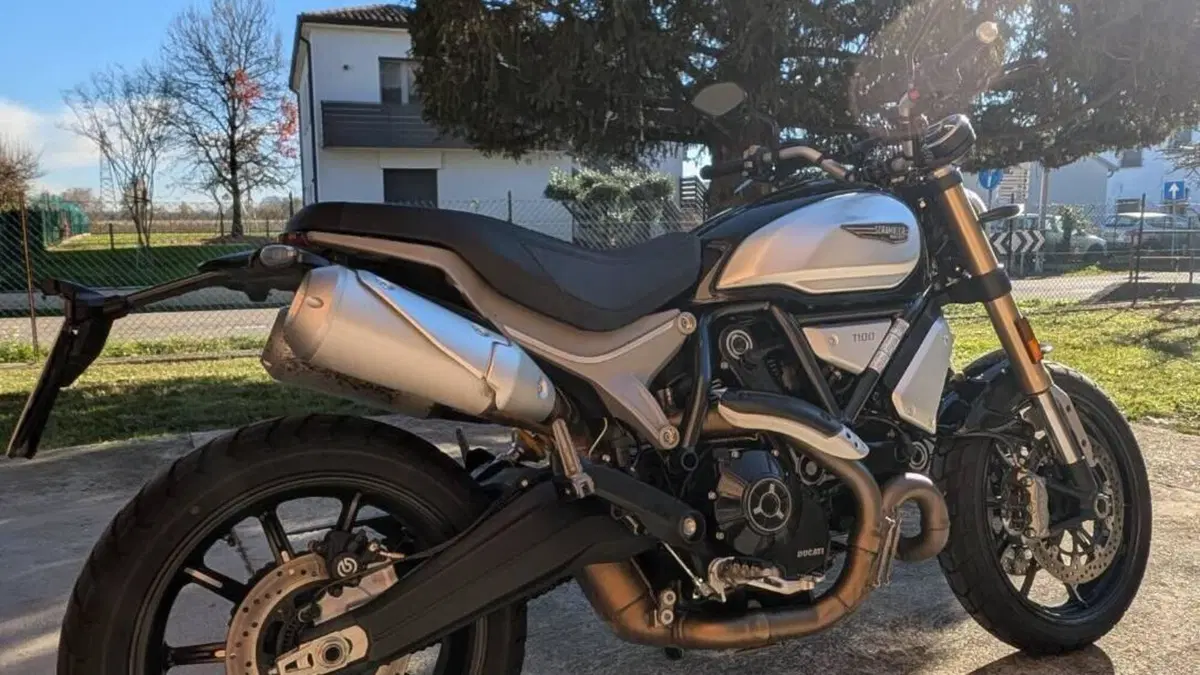 Ducati Scrambler 1100 (2018 - 20)  (7)