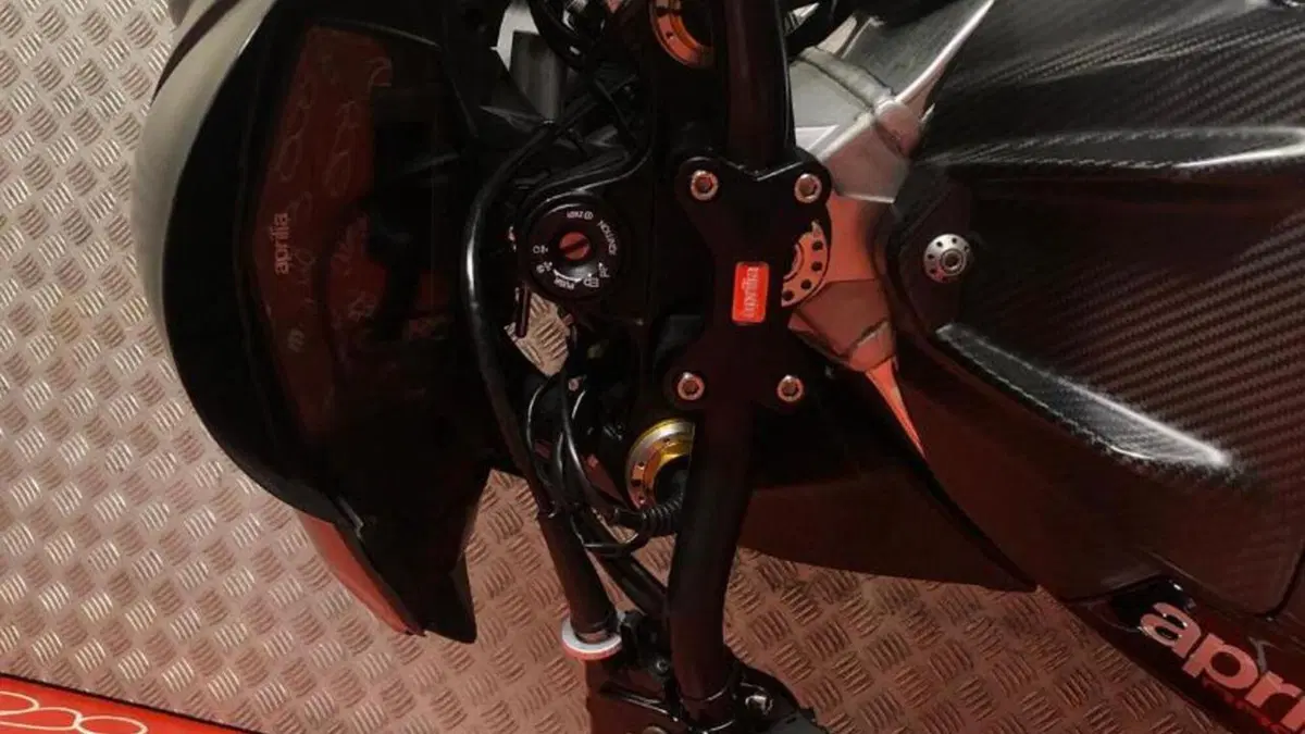 Aprilia Tuono V4 Factory (2019 - 20)  (5)