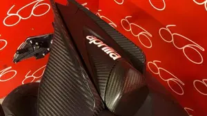 Aprilia Tuono V4 Factory (2019 - 20)  (6)