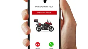 Triumph Tiger 800 (2010 - 14)  (3)