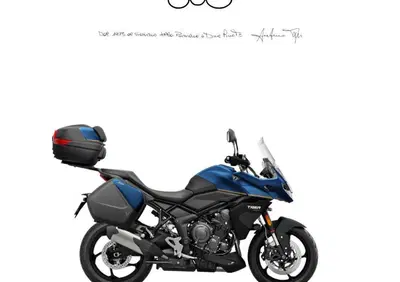 Triumph Tiger 800 (2010 - 14) - Annuncio 9892801