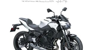 Kawasaki Z 650 (2025 - 26) 