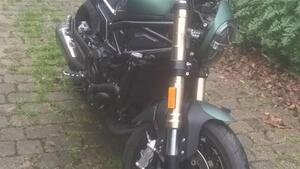 Benelli Leoncino 800 (2022 - 25) 