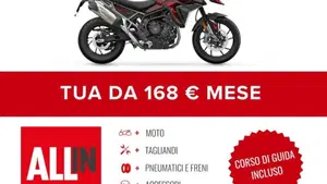 Triumph Tiger 900 GT (2024 - 26)  (2)
