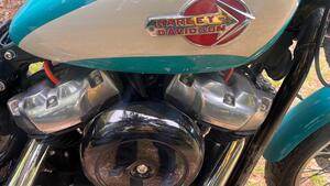 Harley-Davidson Softail Standard (2020) - FXST 