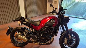 Benelli Leoncino 500 (2021 - 25) 