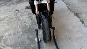Triumph Speed Triple 1050 (2011 - 13)  (3)