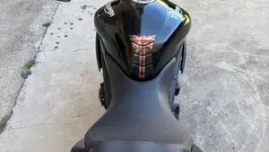 Triumph Speed Triple 1050 (2011 - 13)  (4)