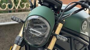 Benelli Leoncino 800 (2022 - 25) 