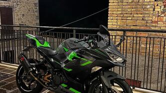 Kawasaki Ninja 400 (2018 - 20) usata