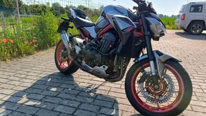 Kawasaki Z 900 A2 Performance (2021 - 24) 