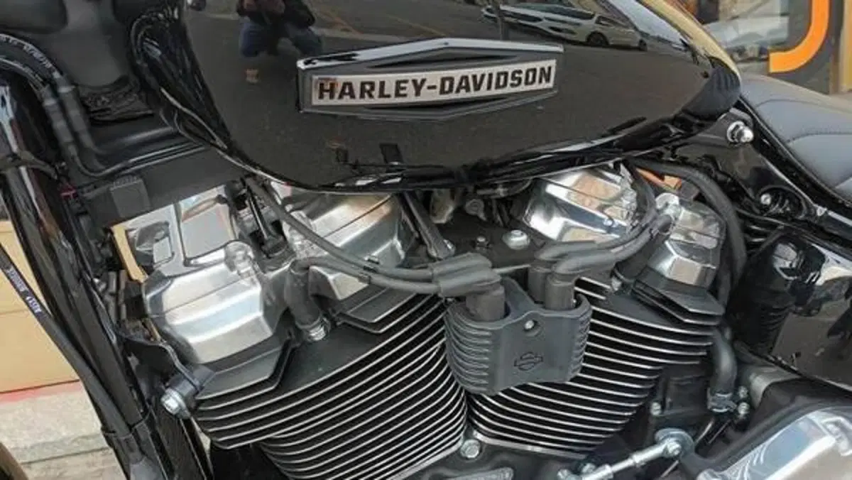 Harley-Davidson Street Bob 117 (2025 - 26)  (5)